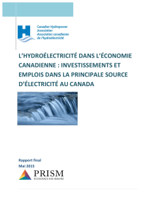 l`hydroélectricité dans l`économie canadienne : investissements et