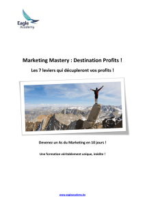 Marketing Mastery : Destination Profits