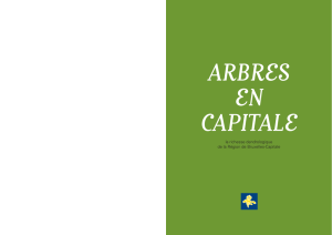 "Arbres en Capitale" : 1ère partie (PDF - 574.7k)