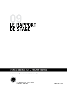 le rapport de Stage