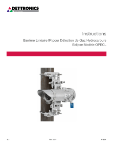 Instructions - Det