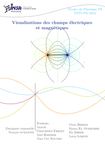 Visualisation des champs électriques et magnétiques