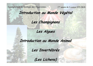 Introduction au Monde Végétal Les Champignons Les Algues