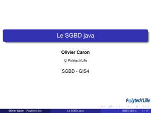 Le SGBD java - Polytech`Lille, page Olivier Caron