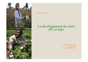 Le développement du coton BT en Inde