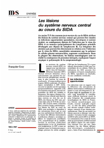 Les lésions du système nerveux central au cours du - iPubli