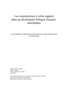 Les constructions à verbe support dans un dictionnaire bilingue