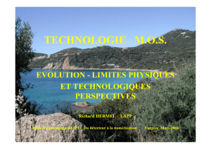 limites et évolutions des technologies (Richard Hermel)
