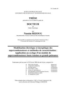 Modélisation électrique et énergétique des