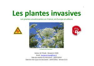 Les plantes envahissantes en France, en Europe et ailleurs