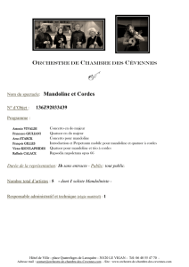 Mandoline et Cordes - Orchestre de Chambre des Cévennes