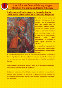 Les infos du Centre Drikung Kagyu Rinchen Pal du Bouddhisme