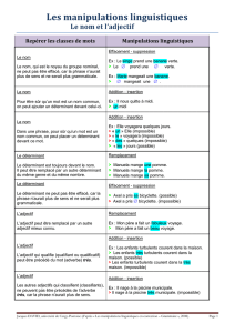 Les manipulations linguistiques