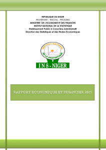 Rapport Economique et Financier - INS