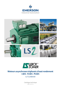 Leroy-Somer Moteurs LSES-FLSES-PLSES - Catalogue