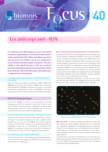 Les anticorps anti-ADN