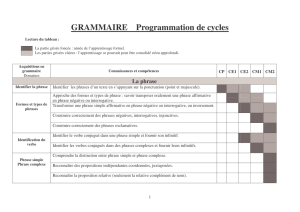 Programmation GRAMMAIRE du CP au CM2