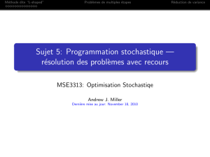 Sujet 5: Programmation stochastique --