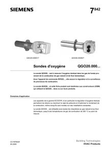 7842 Sondes d`oxygène QGO20.000