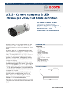 WZ16 - Caméra compacte à LED infrarouges Jour/Nuit haute