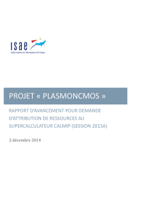 projet « plasmoncmos - Plateforme d`attribution de ressources de