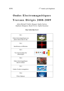 Ondes Electromagnétiques Travaux Dirigés 2008-2009