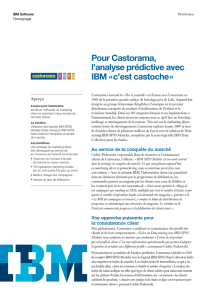 Pour Castorama, l`analyse prédictive avec IBM « c`est castoche »