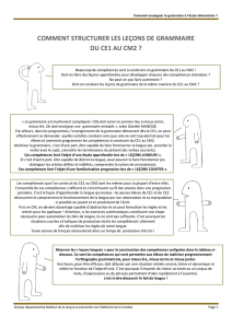 Comment structurer les leçons de grammaire du CE1 au CM2