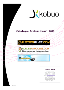Catalogue Professionnel 2011