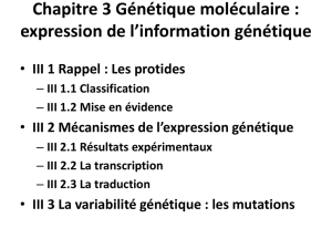 Chapitre 3 Génétique moléculaire : expression de l`information