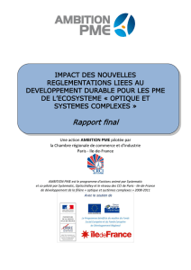 Rapport final - Entreprises (CCI PARIS-IDF)