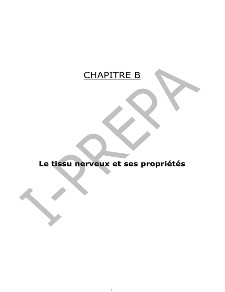 CHAPITRE IV