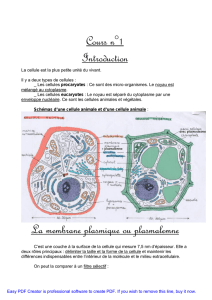 Cours n°1 Introduction La membrane plasmique ou plasmalemne