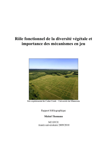 Rapport bibliographique - Michel Thomann - M2 EFCE