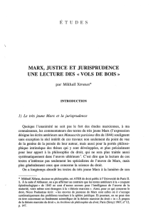 marx, justice et jurisprudence une lecture des «vols de bois