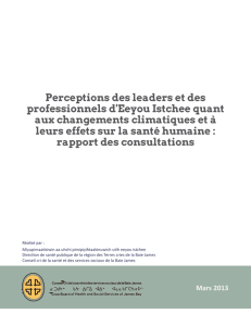 Perceptions des leaders et des professionnels d