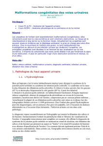Version PDF
