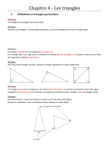 Chapitre 4 - Les triangles - lelorgnedesavignyprovins.org