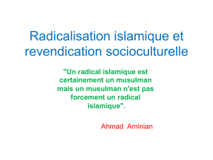 Radicalisation islamique et revendication socioculturelle