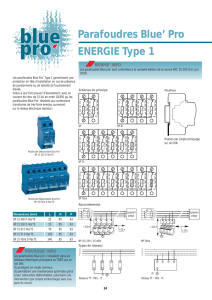 Parafoudres Blue` Pro ENERGIE Type 1