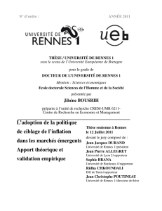 Politique de Ciblage d`Inflation dans les Marchés Emergents