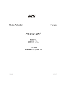 APC Smart-UPS - Onduleurs.fr