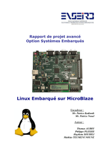 Linux Embarqué sur MicroBlaze - the Patrice Kadionik`s HomePage