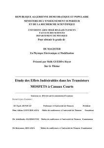 Etude des Effets Indésirables dans les Transistors MOSFETS à