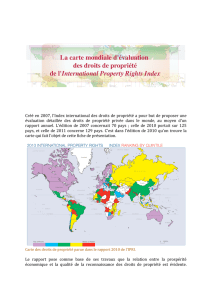 Carte mondiale d`évaluation des droits de propriété (IPRI, 2010)