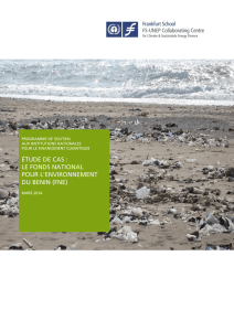 étude de cas : le fonds national pour l`environnement du benin (fne)