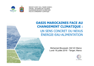 oasis marocaines face au changement climatique : un sens concret