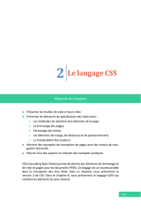 2 Le langage CSS