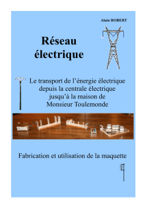 Réseau de distribution de l`énergie électrique