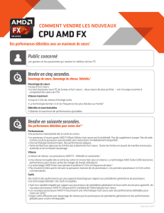 CPU AMD FX